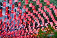sao-vang-huit.jpg