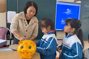 Học sinh Trường Tiểu học Quán Toan nuôi lợn tại lớp. Ảnh: Linh An