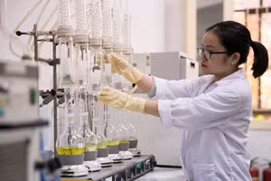 Ảnh minh họa INT.