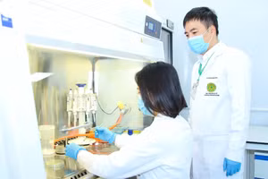 Nghiên cứu khoa học ở Học viện Nông nghiệp Việt Nam. Ảnh: NTCC