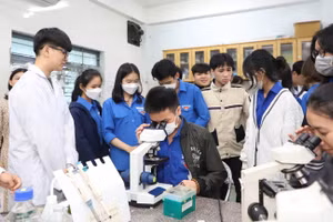 Sinh viên Trường ĐH Sư phạm, Đại học Đà Nẵng tham gia hoạt động thí nghiệm. Ảnh: NTCC 