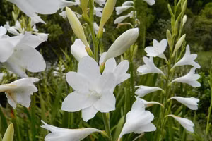 Ảnh minh họa: ITN