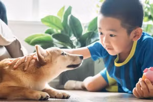 Cha mẹ hãy dạy trẻ những cách biểu hiện tình yêu thương đến mọi người. Ảnh minh họa.