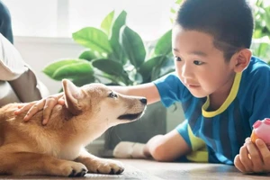 Cha mẹ hãy dạy trẻ những cách biểu hiện tình yêu thương đến mọi người. Ảnh minh họa.