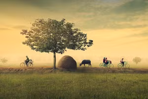 Trong bài thơ “Quê hương” của Giang Nam, độc giả thấy được vẻ đẹp tâm hồn của cô gái qua tiếng cười “khúc khích”. Ảnh minh họa: ITN