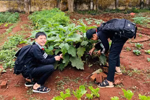 Học sinh Trường Tiểu học và THCS Quang Trung tự hào vì thành quả từ bài học STEM. Ảnh: TT