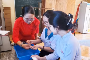 Nguyễn Thị Thanh Vy và Lư Mỹ Yến trong thời gian tập trung nghiên cứu, tận dụng những chiếc lá khóm. 