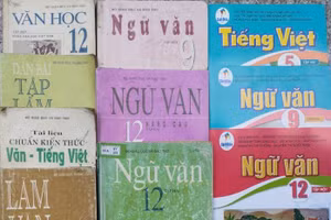 Sách giáo khoa Ngữ văn từ năm 1995 - 2024. Ảnh: Văn Lự