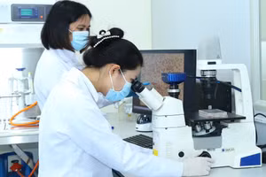 Một hoạt động nghiên cứu khoa học của cán bộ, giảng viên Học viện Nông nghiệp Việt Nam. Ảnh: NTCC