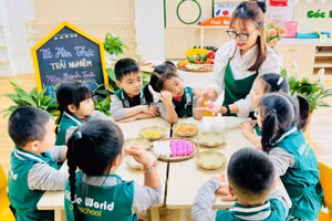 Trường Mầm non Thế giới nhỏ xinh (phường Lê Chân, Hải Phòng). Ảnh: NTCC