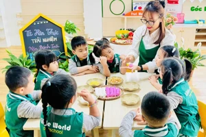 Trường Mầm non Thế giới nhỏ xinh (phường Lê Chân, Hải Phòng). Ảnh: NTCC