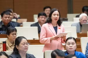 Đại biểu Điểu Huỳnh Sang - Đoàn ĐBQH tỉnh Bình Phước. Ảnh: Media Quốc hội