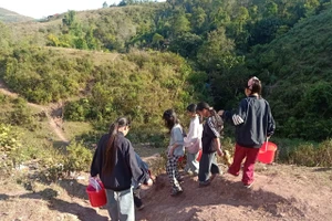 Cung đường đến mó nước của học sinh Trường PTDTBT Tiểu học & THCS Nậm Ngà.