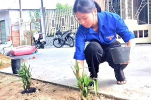 Lâm Nguyễn Việt Uyên tham gia trồng cây xanh tại thành phố Sa Đéc nhân Tháng Thanh niên. Ảnh: NVCC