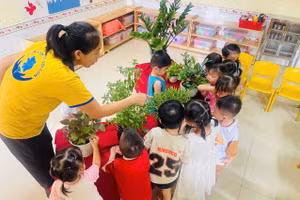 Trẻ tại Mầm non Chú Voi Con. Ảnh: NTCC 