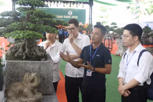 Ông Lê Đức Nam hướng dẫn sinh viên Học viện Nông nghiệp Việt Nam về chăm sóc, tạo thế cho cây cảnh. Ảnh: TG