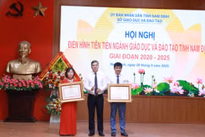 Cô Phạm Thị Gấm và thầy Vũ Văn Thảo được trao tặng Bằng khen của Thủ tướng Chính phủ. Ảnh: Đình Tuệ