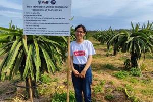 Chị Trần Thị Á Ni cùng vườn thanh long được trồng theo hướng an toàn, hữu cơ. Ảnh: NVCC