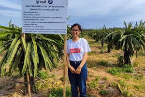 Chị Trần Thị Á Ni cùng vườn thanh long được trồng theo hướng an toàn, hữu cơ. Ảnh: NVCC