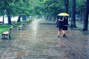 Ảnh minh họa: INT