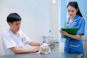 Sinh viên trải nghiệm, thực tập tại Bệnh viện Thú y, Học viện Nông nghiệp Việt Nam. Ảnh: NTCC