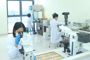 Cán bộ, giảng viên Học viện Nông nghiệp Việt Nam nghiên cứu trong phòng thí nghiệm. Ảnh: NTCC