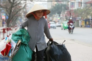 Thị trường lao động dành riêng cho người cao tuổi chưa hình thành vì vậy việc họ tìm được công việc phù hợp là không dễ dàng. Ảnh minh họa