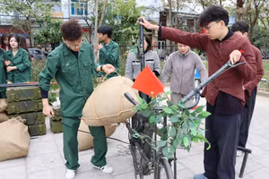 Học sinh Trường THPT chuyên Lê Quý Đôn trải nghiệm tại Bảo tàng Chiến thắng lịch sử Điện Biên Phủ.