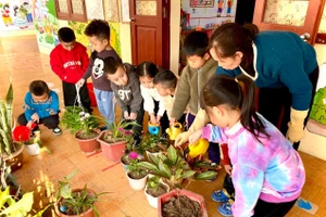 Những hành động tưởng chừng nhỏ bé như trồng lại chậu cây chính là sợi dây nối trẻ trở lại với cuộc sống. Ảnh minh họa: INT 