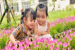 Trẻ được hòa mình vào không gian xanh cùng với cỏ cây, hoa lá tại Trường Mầm non Yên Sở (Hoài Đức, Hà Nội). Ảnh: TG 