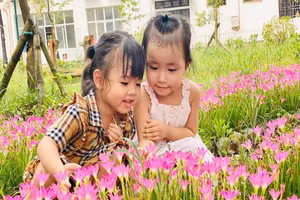 Trẻ được hòa mình vào không gian xanh cùng với cỏ cây, hoa lá tại Trường Mầm non Yên Sở (Hoài Đức, Hà Nội). Ảnh: TG 