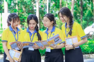 Ảnh minh họa INT.