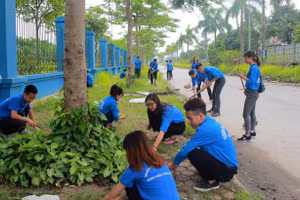 Sinh viên sẽ tham gia nhiều hoạt động làm lợi cho xã hội.
