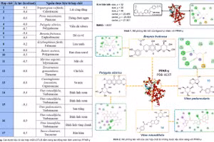 Sơ đồ kết quả nghiên cứu của nhóm. Ảnh: NVCC