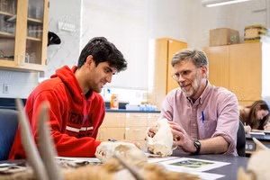 Tại Anh, người được xét danh hiệu GS, PGS tại các trường đại học cần có bằng chứng về thành tích rõ ràng. Ảnh: INT