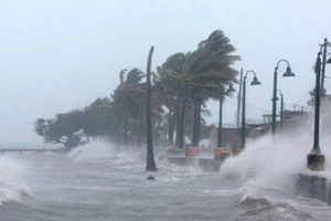 Đắk Lắk cho học sinh toàn tỉnh nghỉ học để tránh bão Kalmaegi