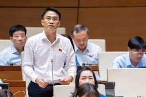 Đại biểu Đỗ Huy Khánh (Đoàn ĐBQH tỉnh Đồng Nai).