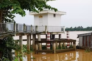 Dự báo đỉnh lũ cao hơn năm trước, Đồng Tháp triển khai phương án ứng phó