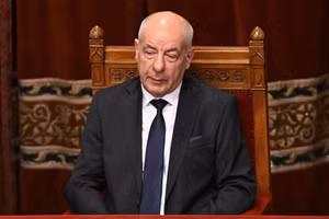 Tổng thống Hungary Tamas Sulyok.