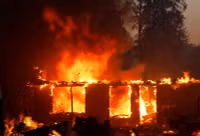 chay-rung-o-park-fire-california-017.jpg
