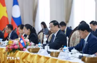 thu-tuong-pham-minh-chinh-hoi-kien-thu-tuong-lao-chu-tich-asean-2024-3-424.jpg