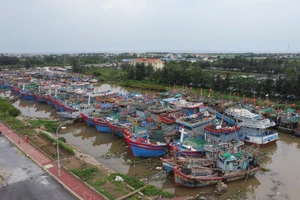 Khu neo đậu tàu thuyền tại cảng cá Ninh Cơ (Ninh Bình).