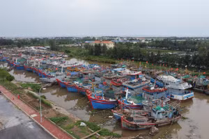 Khu neo đậu tàu thuyền tại cảng cá Ninh Cơ (Ninh Bình).