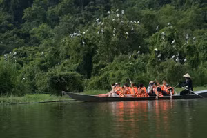 Du khách tham quan tại vườn chim Thung Nham, Ninh Bình. 