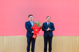 Ông Trần Đăng Quỳnh giữ chức Phó Bí thư Tỉnh ủy Ninh Bình