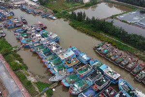 Khu neo đậu tàu thuyền tại cảng cá Ninh Cơ (Ninh Bình).