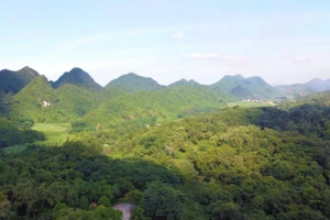 Vùng lõi Vườn quốc gia Cúc Phương nơi xảy ra vụ mất tích của anh Mạnh.