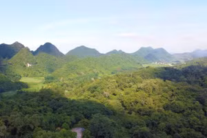 Vùng lõi Vườn quốc gia Cúc Phương nơi xảy ra vụ mất tích của anh Mạnh.