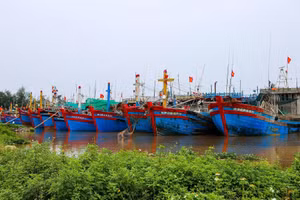 Khu neo đậu tàu thuyền tại cảng cá Ninh Cơ (Ninh Bình).