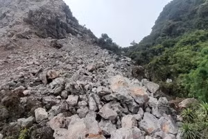 Vị trí phát hiện thi thể bà Trần Thị V.